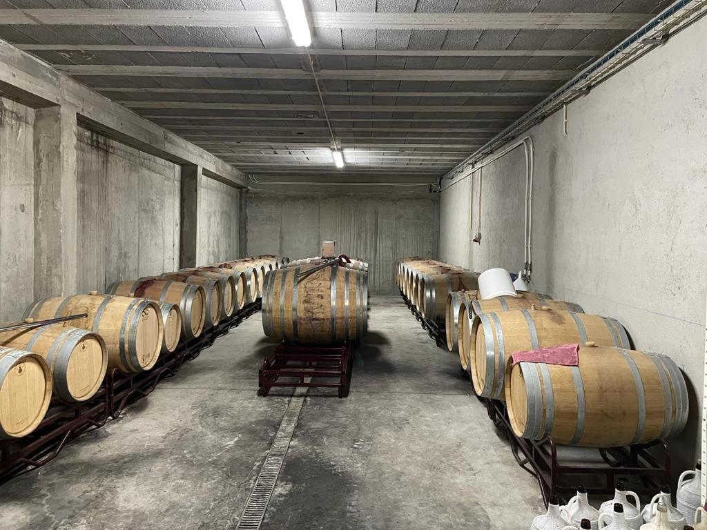 Quinta Da Penada - Vineyard & Winery - Suite 3 Chaves Esterno foto