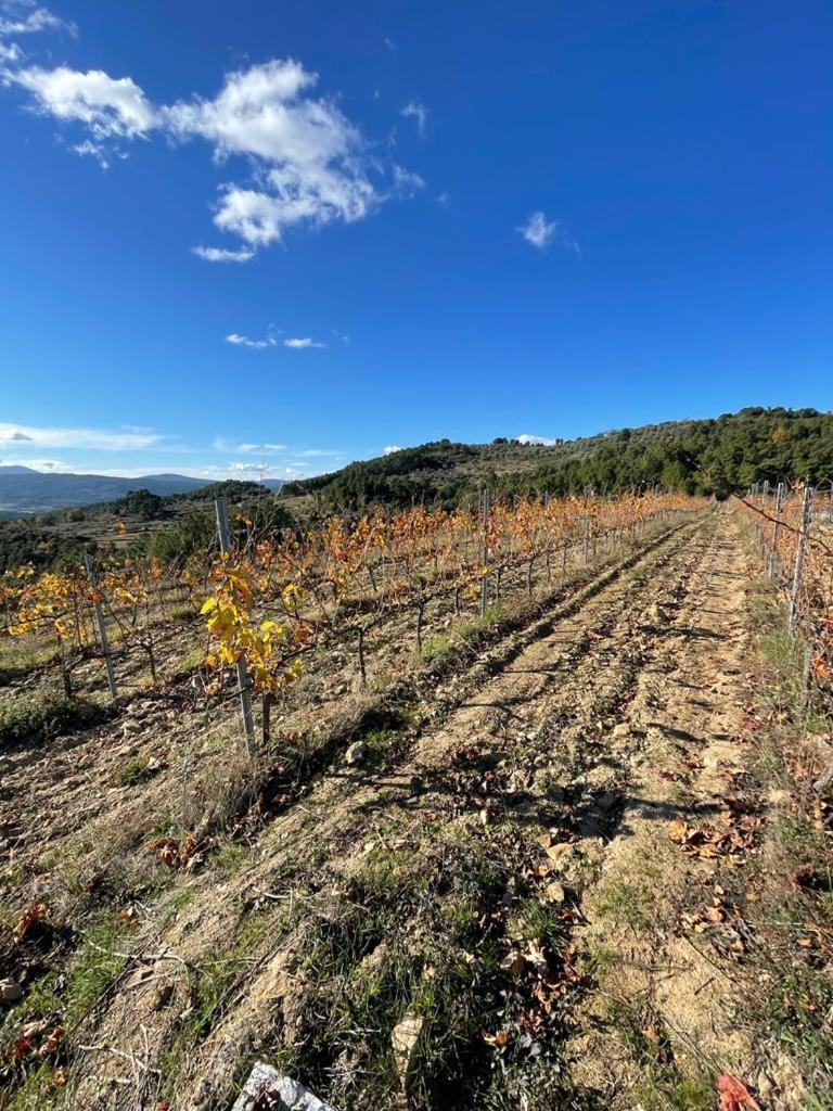 Quinta Da Penada - Vineyard & Winery - Suite 3 Chaves Esterno foto