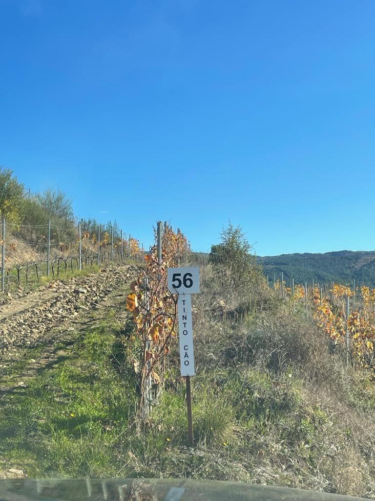 Quinta Da Penada - Vineyard & Winery - Suite 3 Chaves Esterno foto